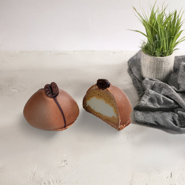 Elevate Your Gifting with the Best Chocolate Gift Box