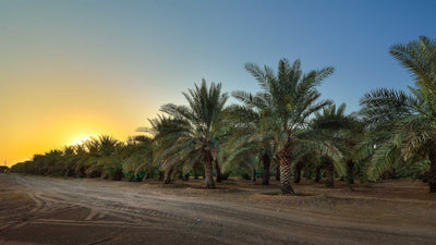 Local Farms